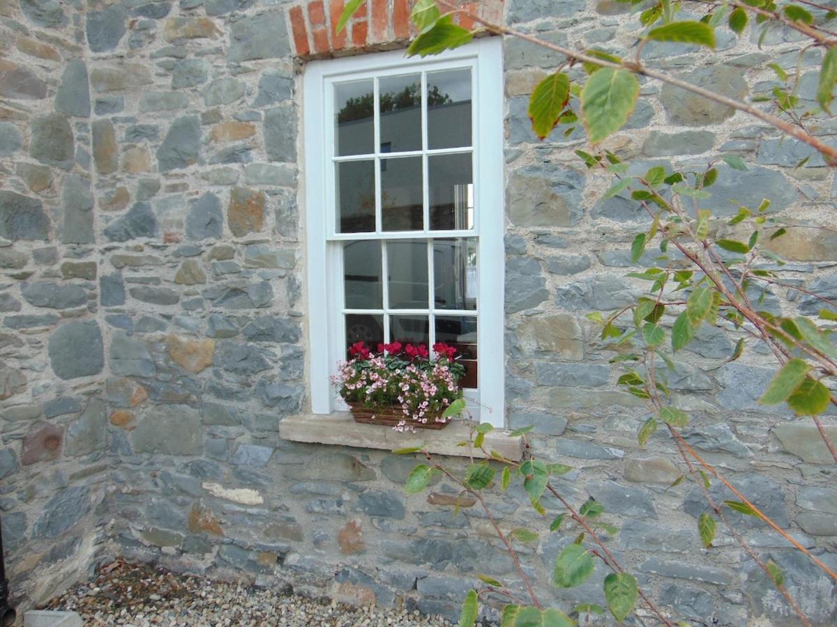 Charming Townhouse With Sunny Garden * Donaghadee